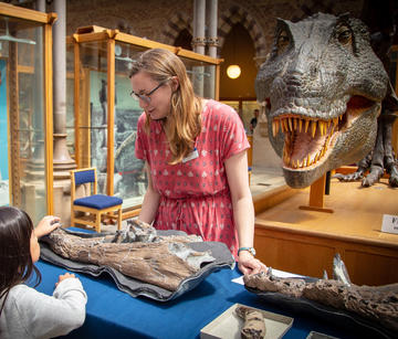 Palaeontologist explaining fossils