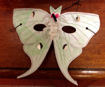 Moth mask at the Museum
