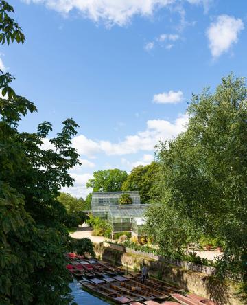 A view of the river behind Oxford Botanic Garden