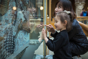 Oumuseumofnaturalhistorybyianwallman 9297 oumuseumofnaturalhistorybyianwallman 9297