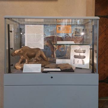 Presenting 200 years of Megalosaurus, a temporary display at OUMNH