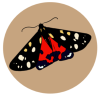 Moth logo representing access event