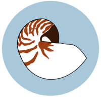 An icon featuring a shell