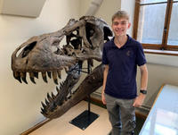 A STEM placement student at the Museum beside a T.rex skull