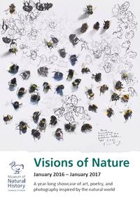 Report cover image showing a painting and ink drawing of bumblebees crawling on the page