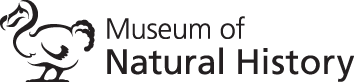 write a brief essay on arthropods evolution Logo